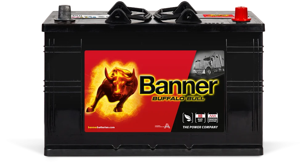 12V 110Ah 800A Banner Buffalo Bull 61011 HD LKW Batterie