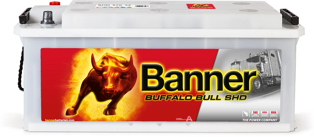 12V 170Ah 1000A Banner Buffalo Bull SHD 67033 LKW Batterie